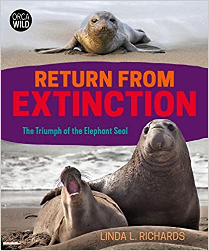 Return From Extinction: the Triumph of the Elephant Seals